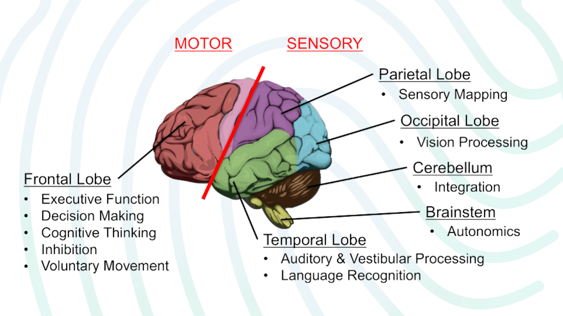 ¿Por qué es necesario saber como evaluar diferentes áreas cerebrales?