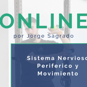 Sistema Nervioso Periférico y Movimiento
