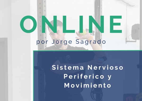 Sistema Nervioso Periférico y Movimiento