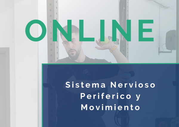 Sistema Nervioso Periférico y Movimiento - Imagen 2